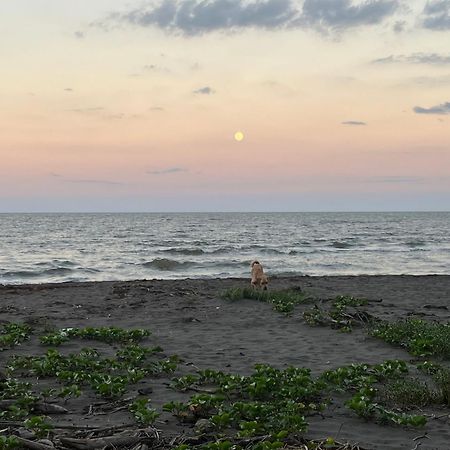 Frias Home Tortuguero Buitenkant foto